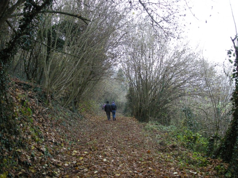 Ancora alta l'allerta per gli incendi boschivi in tutto il territorio